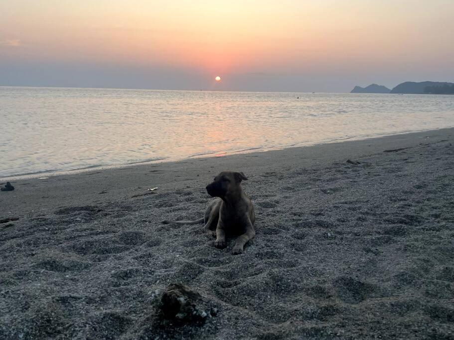 Sunset Serenity Cove Ko Pha Ngan Bagian luar foto