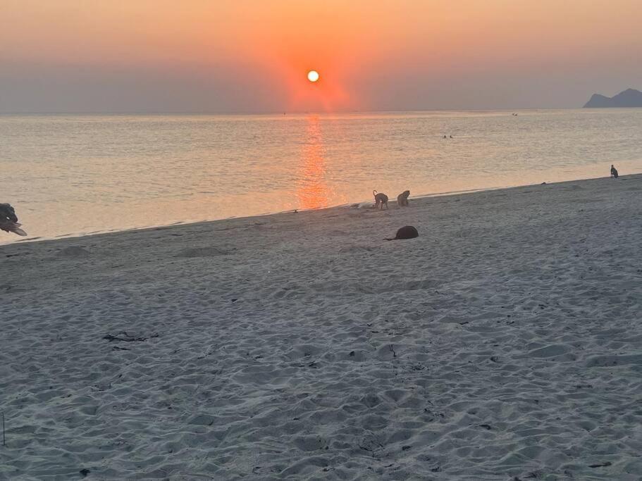 Sunset Serenity Cove Ko Pha Ngan Bagian luar foto